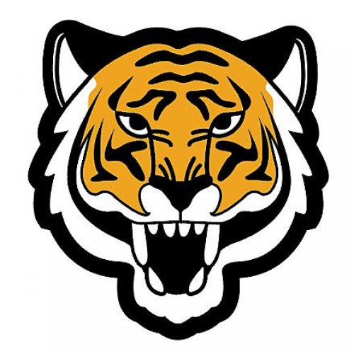 Джибитс шармс CROCS Талисман с тигром (Tiger Mascot)